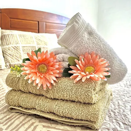 House By Gloove Apartment Torrevieja